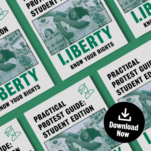 Practical Protest Guide: Student Edition!