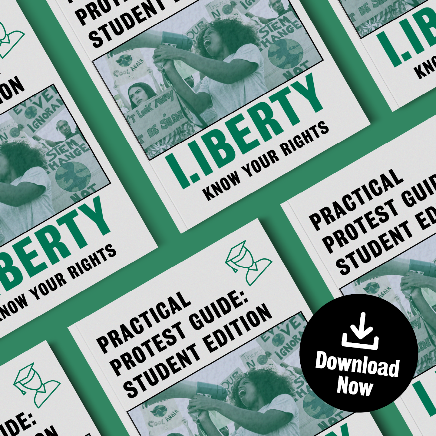 Practical Protest Guide: Student Edition!